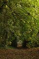 Automne 1-80f7-1_800iso_70mm1_1
